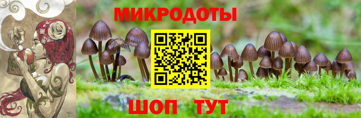 Псилоцибиновые грибы ЛСД Ярославль