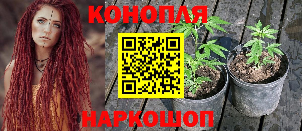 МАРИХУАНА семена  Вход с VPN  МАРИХУАНА OG Kush  Бошки Шишки LSD WEED  Ярославль 